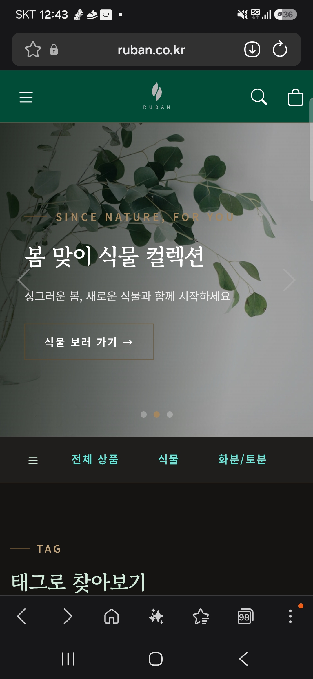 상품 이미지